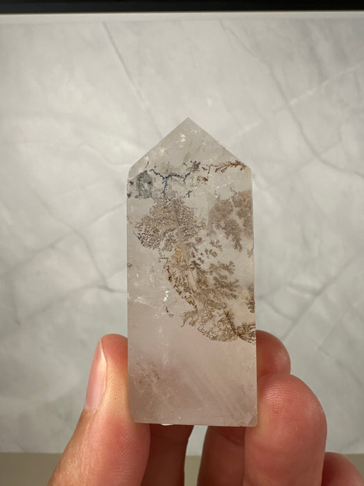 Dendritenquarz Spitze E22