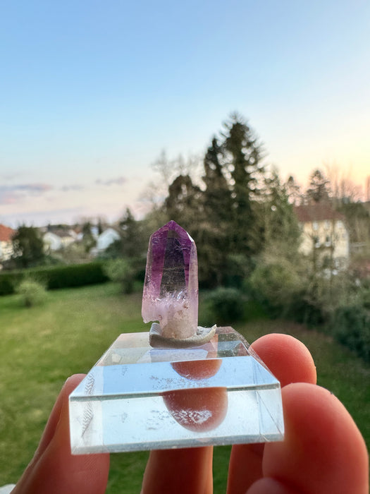 Vera Cruz Amethyst auf Sockel