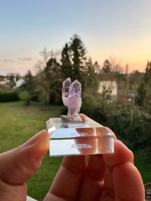 Vera Cruz Amethyst auf Sockel