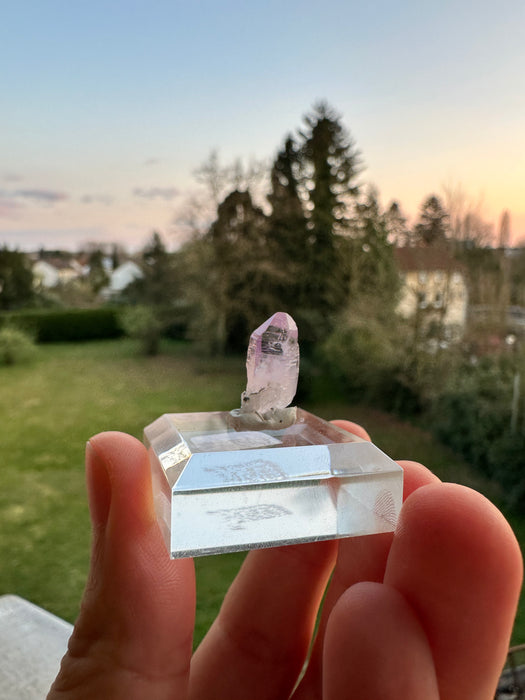 Vera Cruz Amethyst auf Sockel