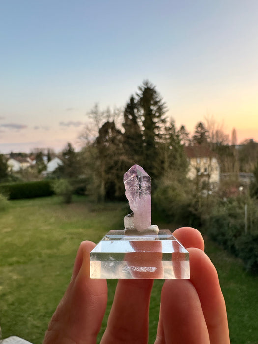 Vera Cruz Amethyst auf Sockel