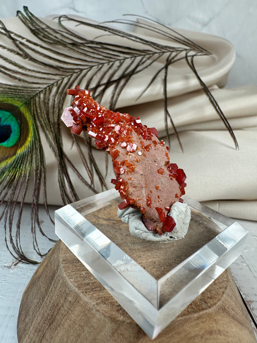 Vanadinit Rohkristall auf Acrylsockel F15