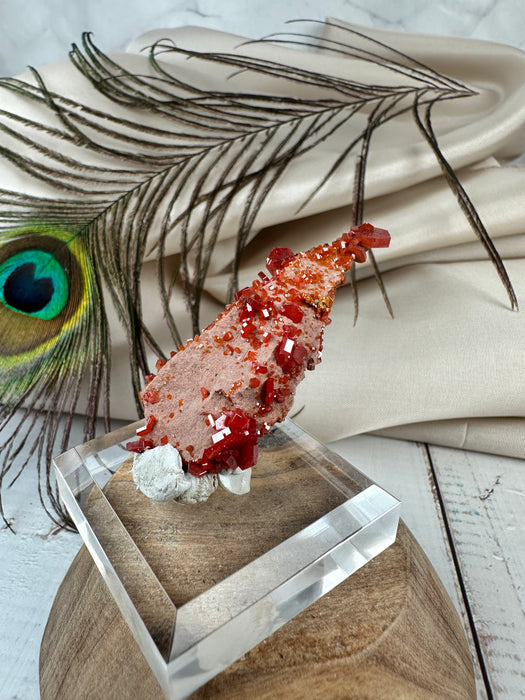 Vanadinit Rohkristall auf Acrylsockel F15