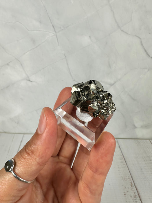 Pyrit Stufe auf Acrylsockel D15