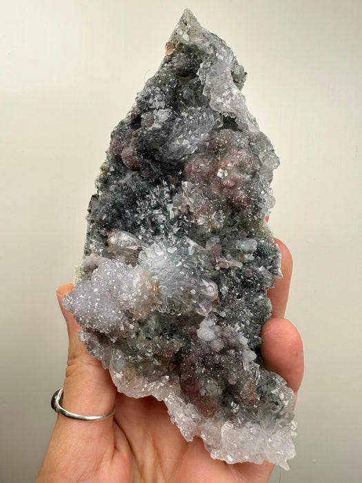 Amethyst Rose F59
