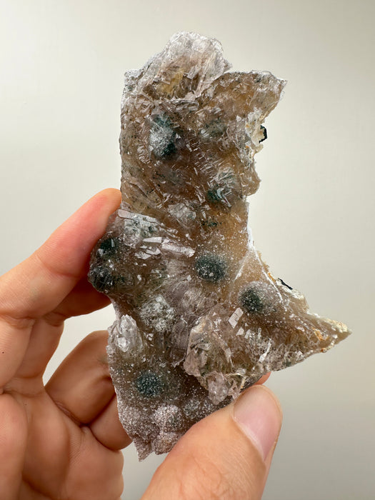 Amethyst Rose G14
