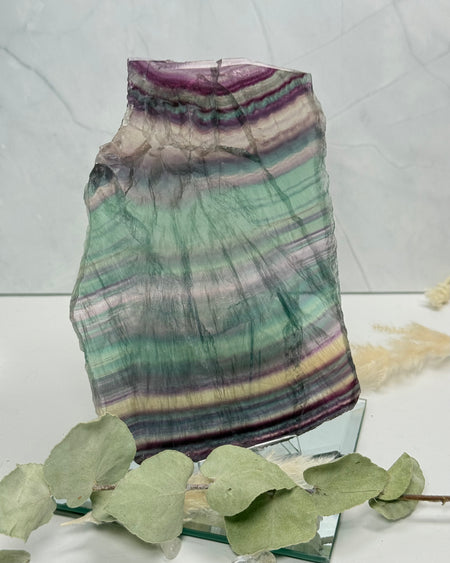 Polierte Regenbogen-Fluorid-Scheibe mit violett-grünen Bänderungen, Größe 15 × 10,5 cm, auf hellem Hintergrund.