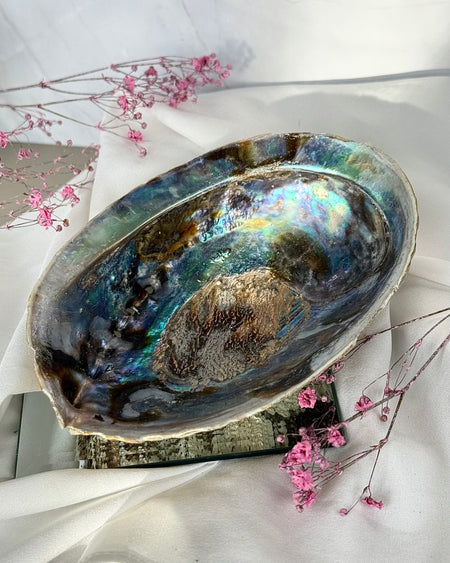 Abalone Muschel zum Räuchern mit Perlmutt-Schimmer, Räucherschale aus Naturmuschel für Ritual und Räucherwerk
