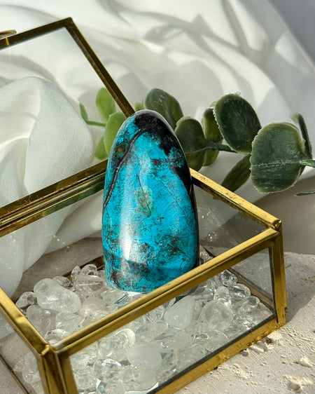 Chrysokoll Freiform poliert mit intensivem Blau-Grün Farbspiel Edelstein