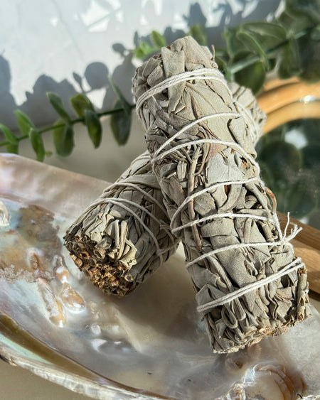 Weißer Salbei Stick als naturgetrocknetes Räucherbündel für Reinigung