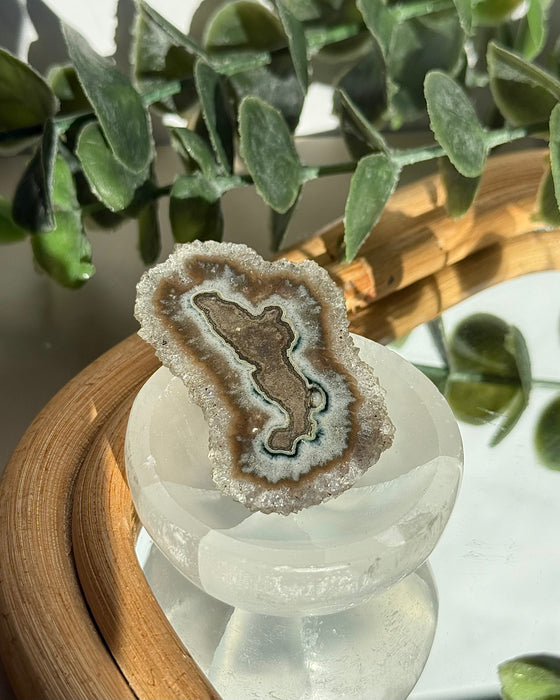 Polierte Quarz Stalaktitscheibe mit konzentrischen natürlichen Schichten