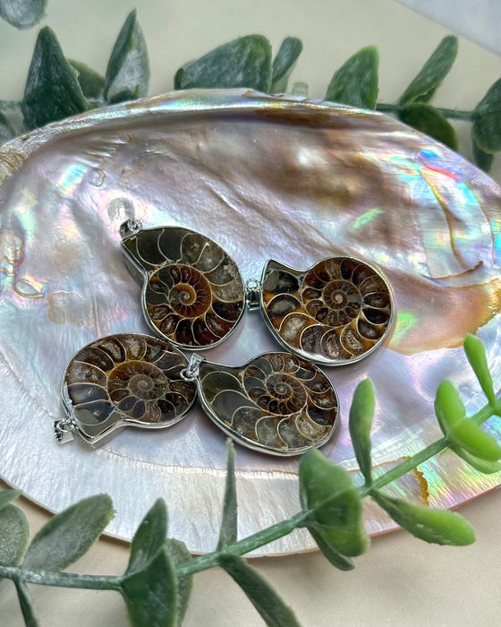 Ammonit Anhänger versilbert 3,3 cm fossiler Schmuck Spirale