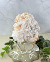 Stilbit Scolecit Rohkristall 9,5 cm Naturstein Zeolith Kristall
stilbite scolecite crystal 9.5 cm natural zeolite mineral
Stilbit mit Scolecit Rohstein kristallin Naturstein
Detailaufnahme Stilbit und Scolecit Kristallstruktur