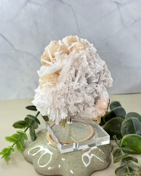 Stilbit Scolecit Rohkristall 9,5 cm Naturstein Zeolith Kristall
stilbite scolecite crystal 9.5 cm natural zeolite mineral
Stilbit mit Scolecit Rohstein kristallin Naturstein
Detailaufnahme Stilbit und Scolecit Kristallstruktur