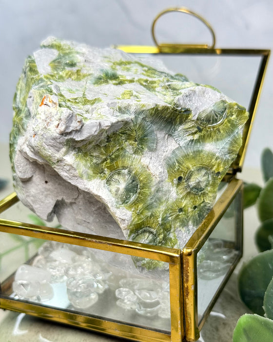 Wavellit Rohmineral 6 x 6,5 cm grüner Naturstein Kristallstruktur
wavellite mineral 6 cm green crystal natural specimen
Wavellit Rohstein radialer Kristall Naturstein
Detailaufnahme Wavellit Kristallstruktur strahlenförmig