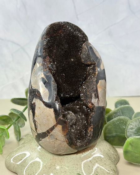 Septarien Ei 11 cm Naturstein Deko braun goldgelb poliert
septarian egg 11 cm natural stone decor polished
Septarie Ei stehend Naturstein mit Musterung
Detailaufnahme Septarien Ei mit natürlicher Struktur