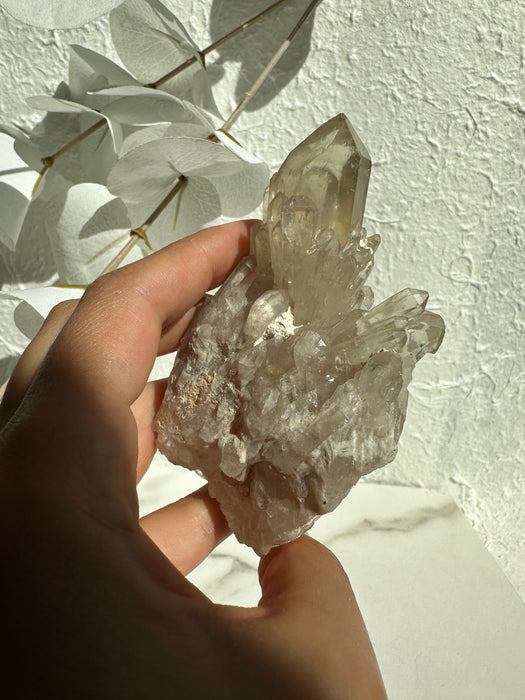 Natur Citrin aus Kongo B79