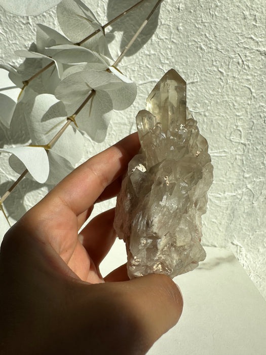 Natur Citrin aus Kongo B79