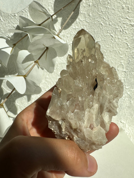 Natur Citrin aus Kongo B79