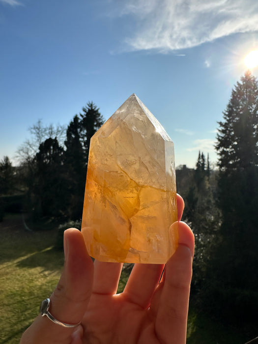 Golden Healer Spitze A79