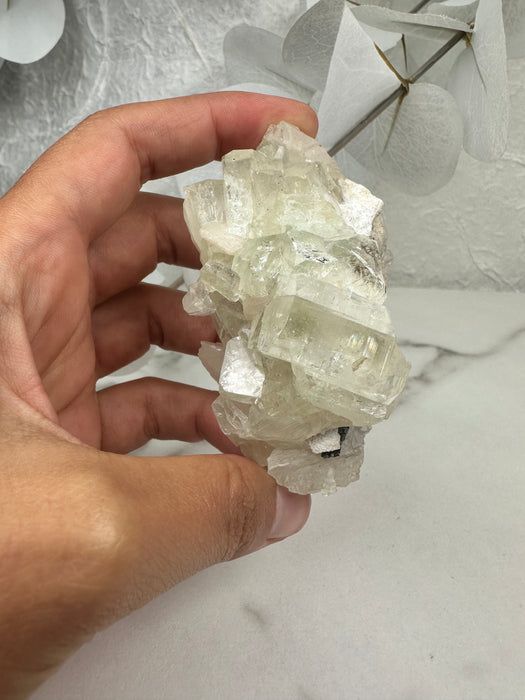 Apophyllit Stufe B22