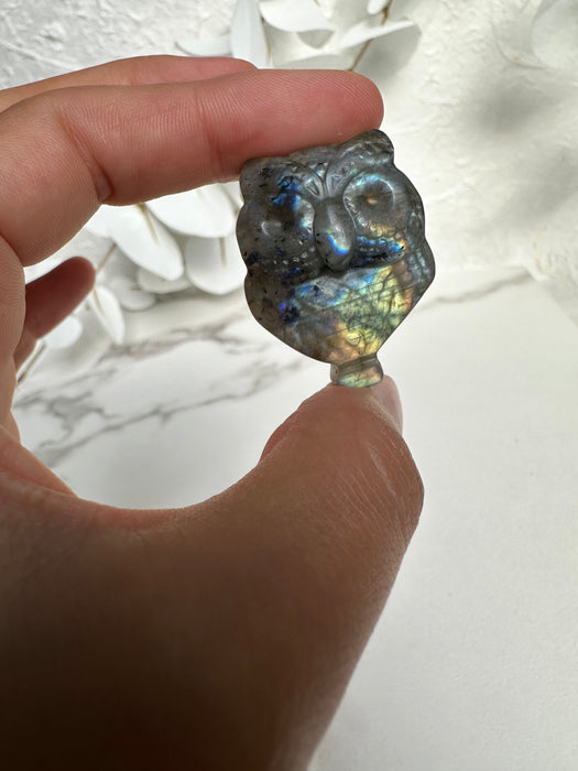 Eule Labradorit E20