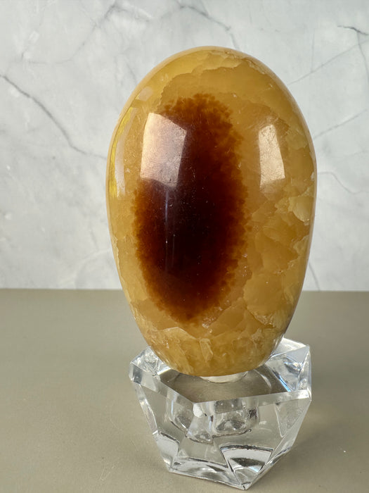 Septarien Freiform