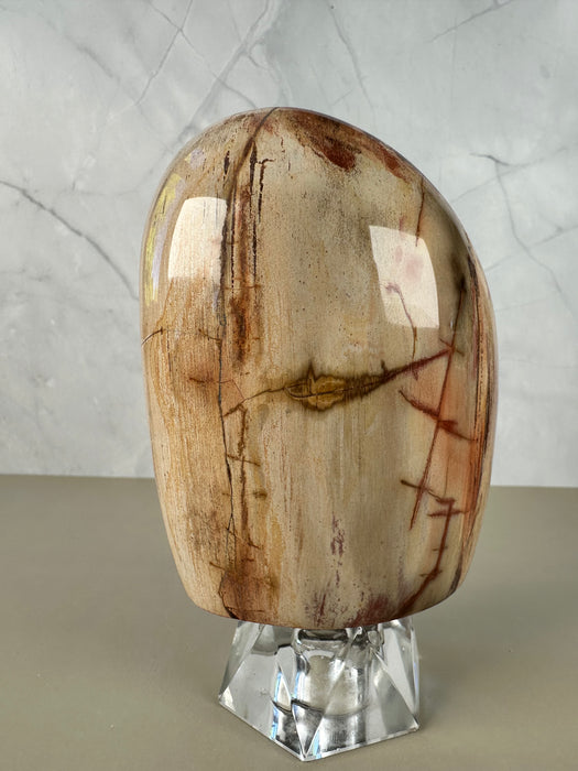 Versteinerte Holz Freiform