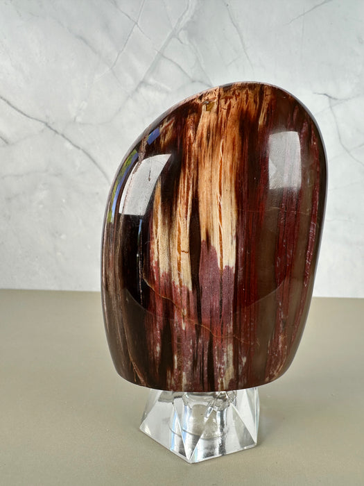Versteinerte Holz Freiform