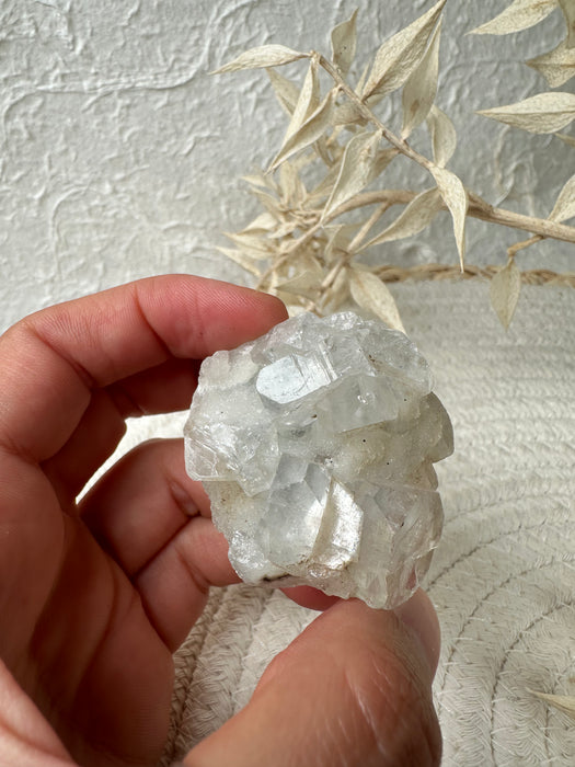 Apophyllit Stufe E15