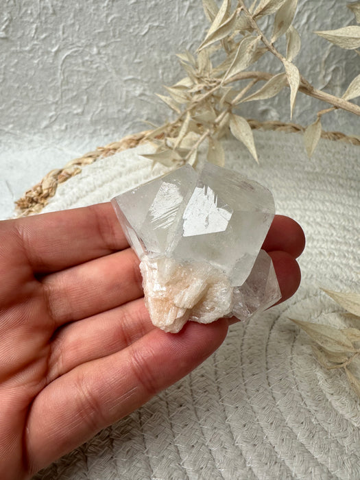 Apophyllit Stufe K12