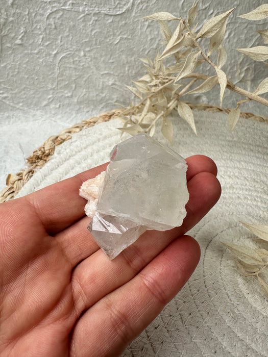 Apophyllit Stufe K12