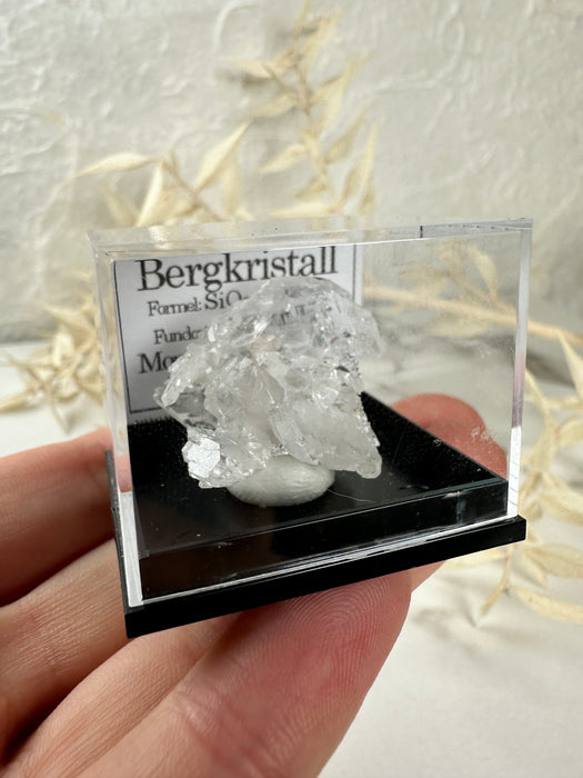 Bergkristall Stufe in Acrylbox F22