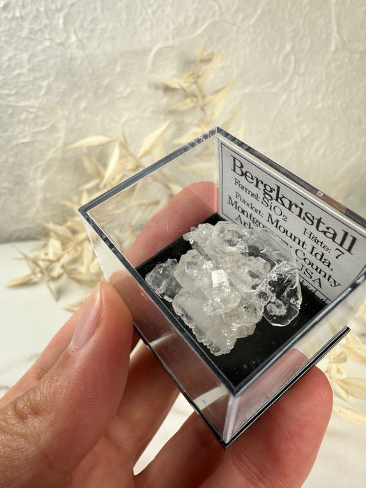 Bergkristall Stufe in Acrylbox F22