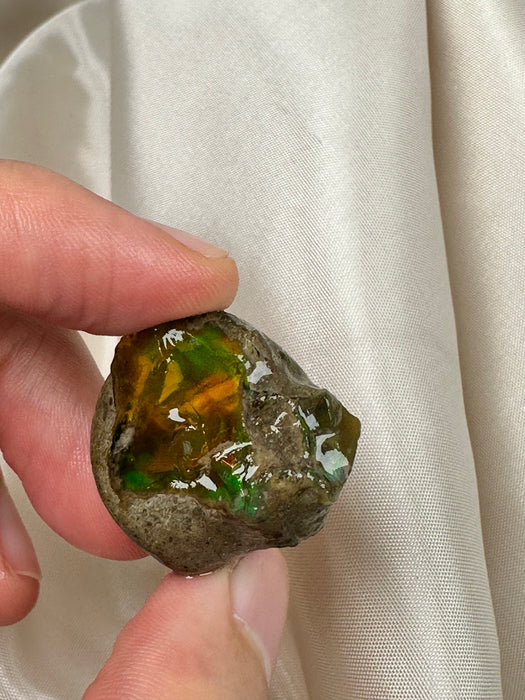 Äthiopischer Wasseropal roh L79