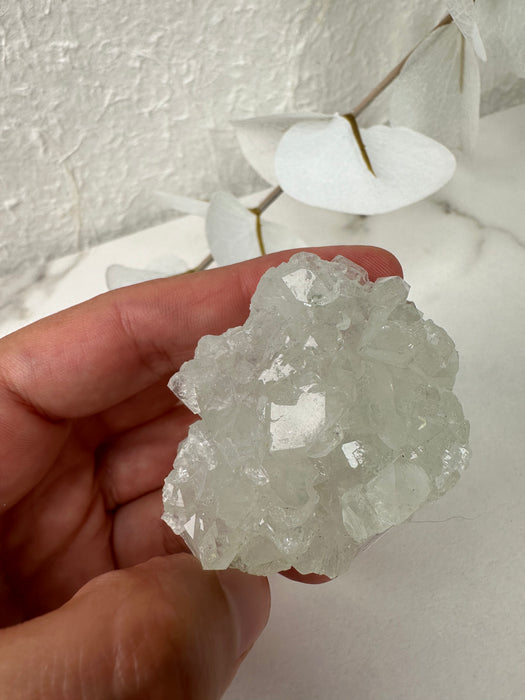 Apophyllit Stufe grün D19