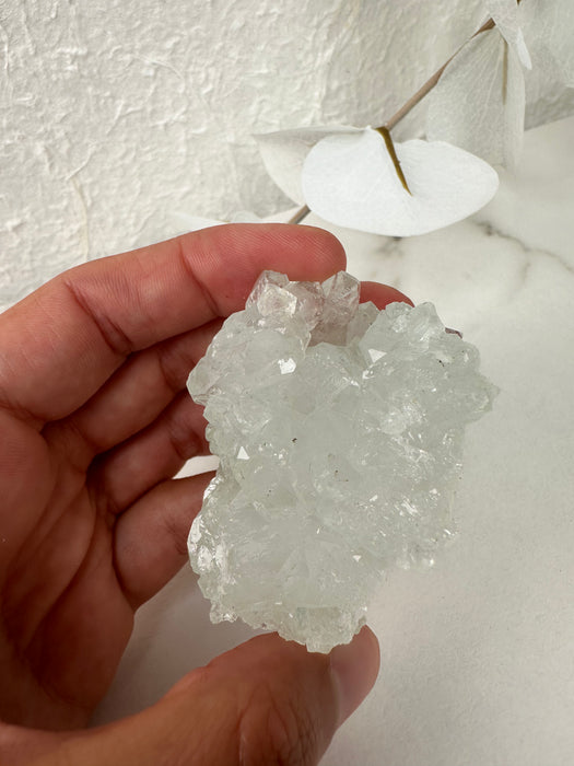 Apophyllit Stufe grün D19