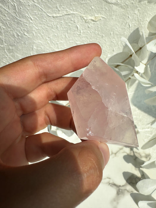 Rosenquarz Freiform B18