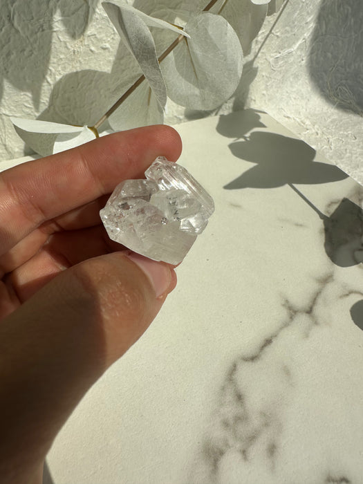 Apophyllit Stufe C6