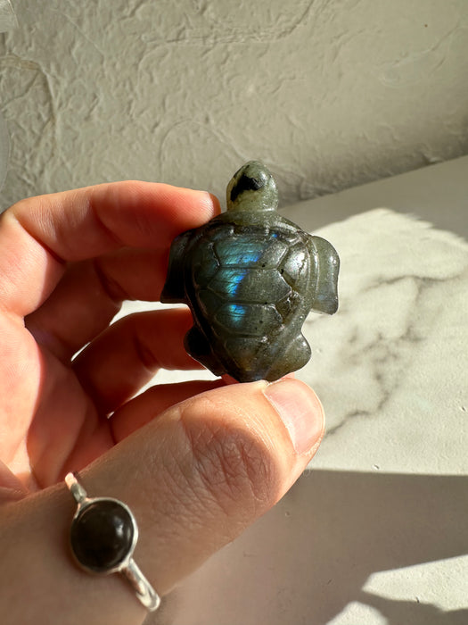Labradorit Schildkröte D22