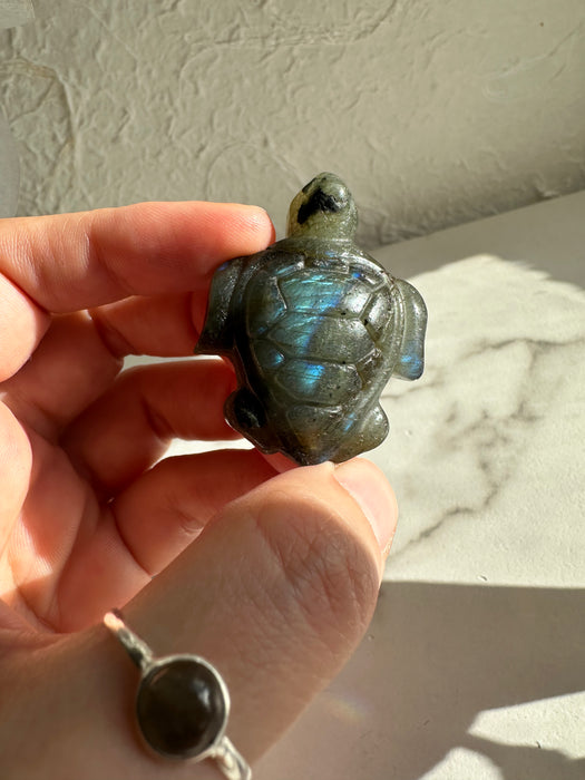 Labradorit Schildkröte D22