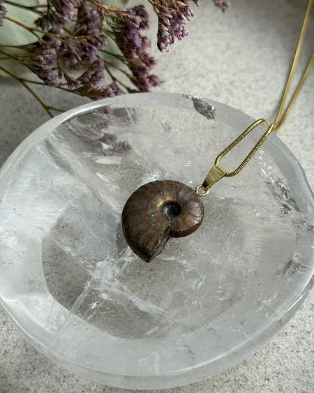 Ammonit Anhänger 1,7 cm mit vergoldeter 925er Silberöse – Fossiles Naturstein Schmuck Unikat