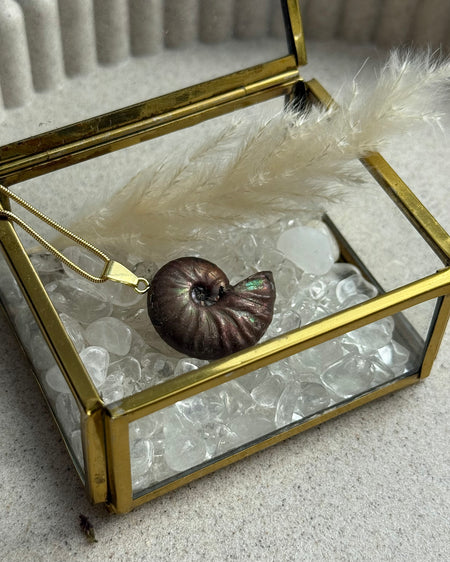 Ammonit Anhänger 2,7 cm mit vergoldeter 925er Silberöse – Fossiles Naturstein Schmuck Unikat