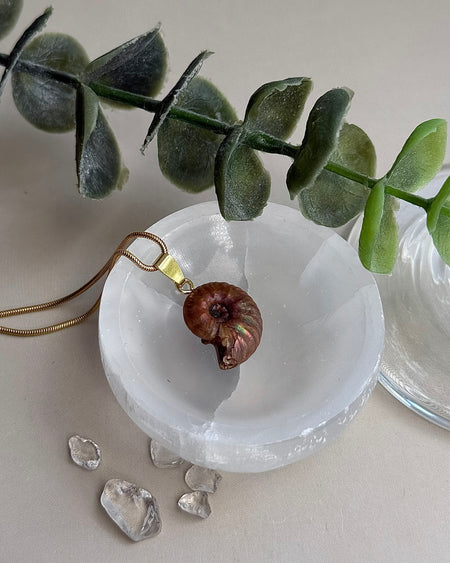 Ammonit Anhänger 1,8 cm mit vergoldeter 925er Silberöse – Fossiles Schmuck-Unikat Naturstein
