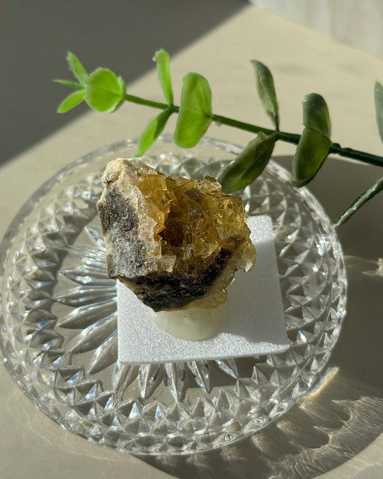 Gelber Fluorit, Kristallstufe aus Asturien in Spanien – leuchtendes Sammlerstück.